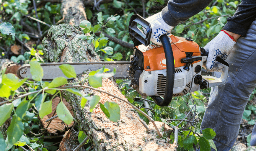 Top Notch Tree Care