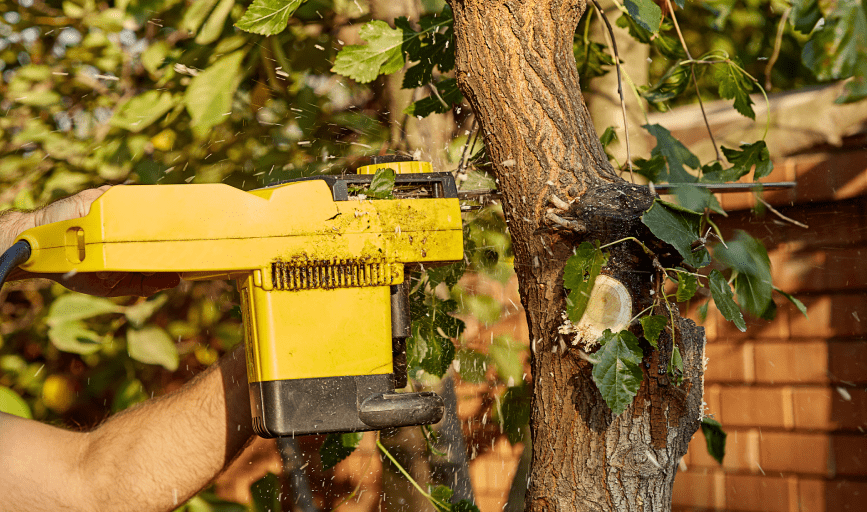 Top Notch Tree Care